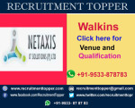 Netaxis Walkins for Experienced at Chennai