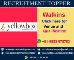 Yellow Box Walkins For Freshers at Bangalore