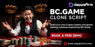 BC Video Game Online Gambling Enterprise & Sports Betting in India