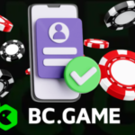 The Ultimate Guide to Bc.Game Your Gateway to Online Gaming